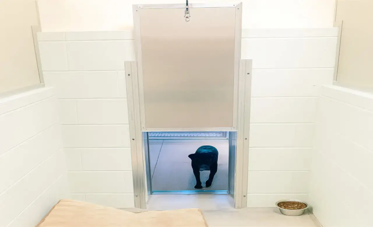 Kennel Dog Door Installation Texas – Guillotine Pet Doors for Kennels