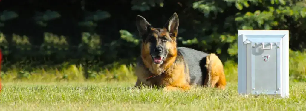 German shepherd lying in the grass next to a white-framed Security Boss pet door, Portal Pros Austin